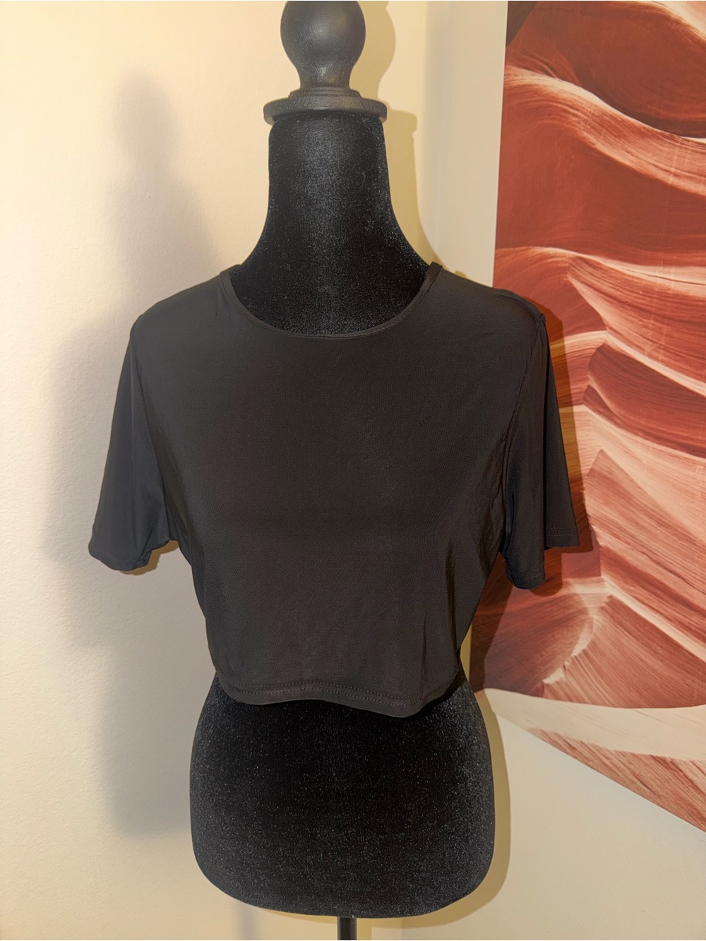H&M Black Cropped Short Sleeve Top